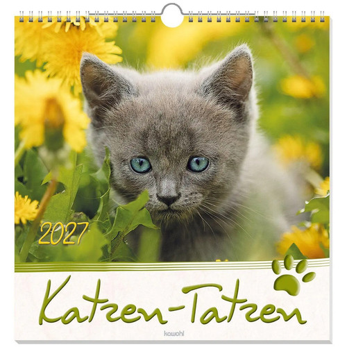 Katzen tatzen 2027 deutsch - 2027, |